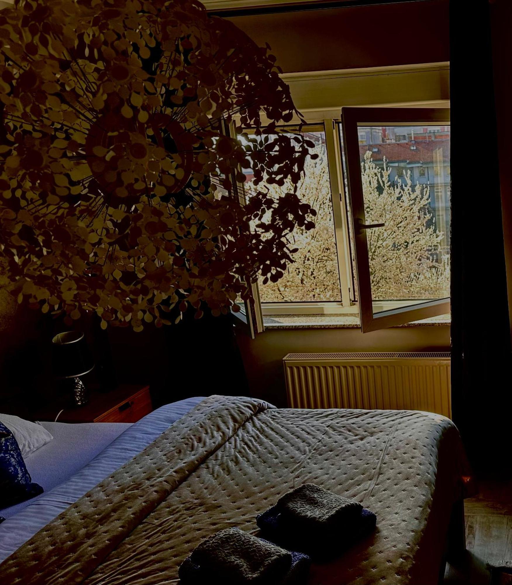 Apartman Pannonica Pin 0-24H 斯拉沃尼亚布罗德 外观 照片