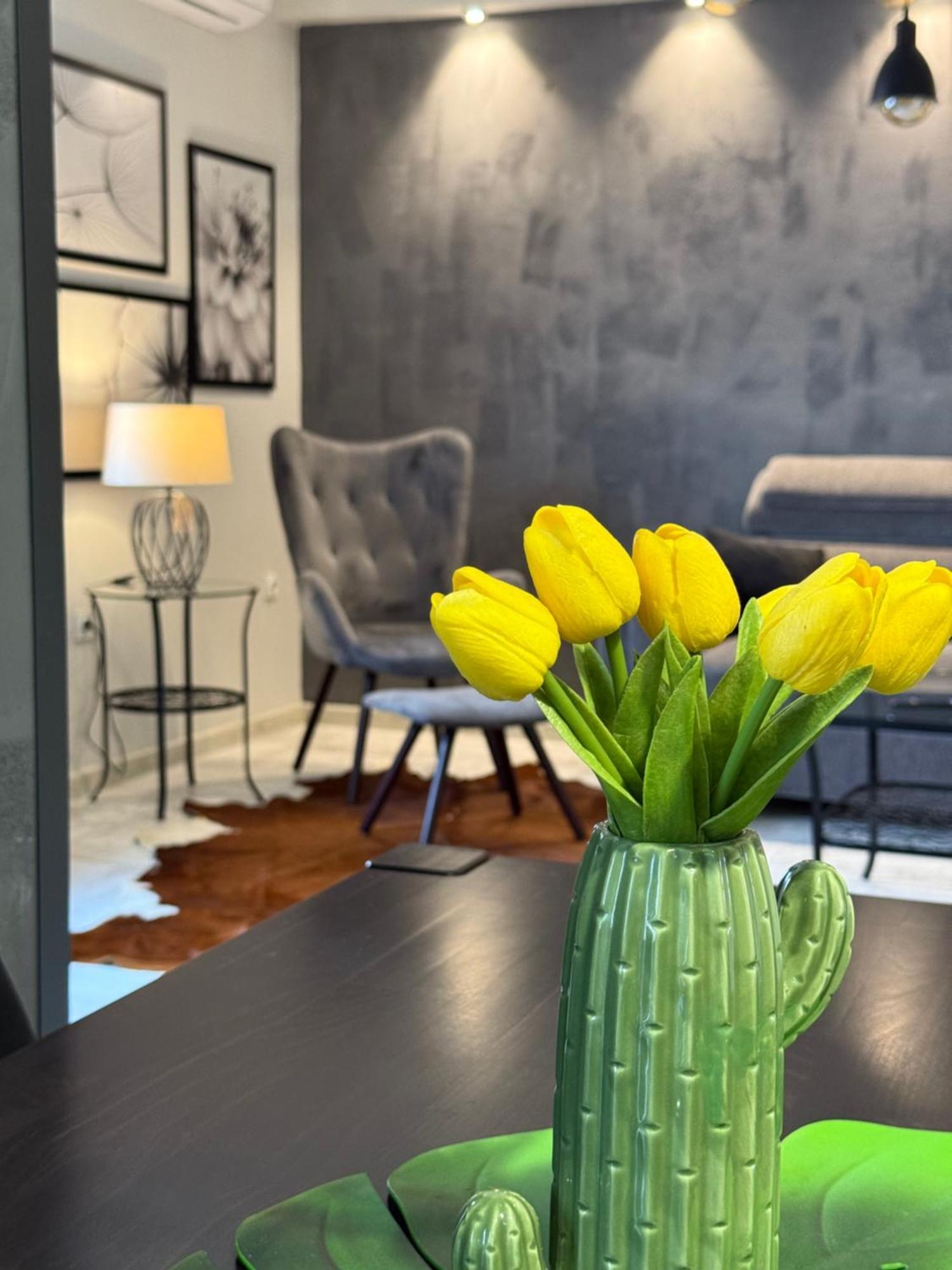 Apartman Pannonica Pin 0-24H 斯拉沃尼亚布罗德 外观 照片
